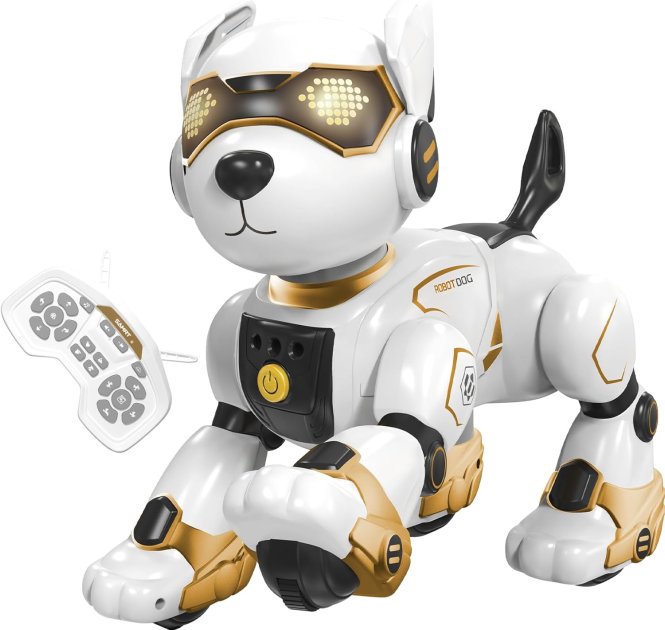 Best Christmas 2024-25 Educational Robotic Kit For Gifting Kids