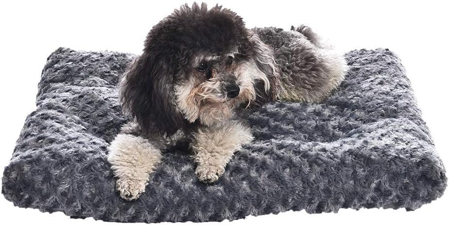 A Comprehensive Guide On Choosing and Maintaining a Washable Dog Bed For Severe Allergies